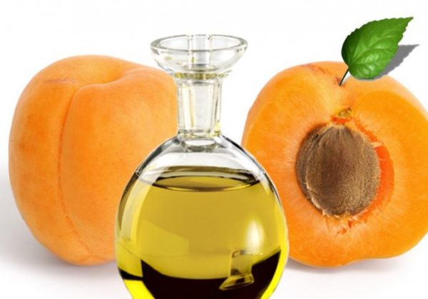 Apricot-Oil